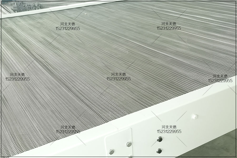 網(wǎng)帶輸送機