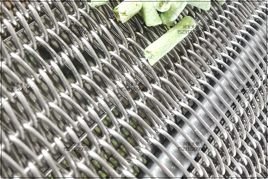 網狀寬幅鏈條輸送帶